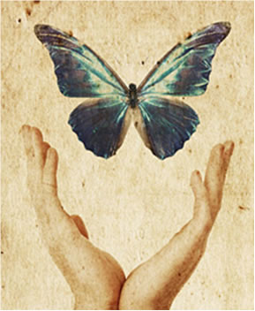 with-forgiveness-butterfly